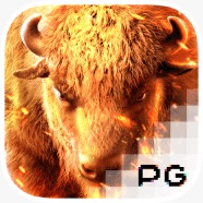 BRAVOBET77